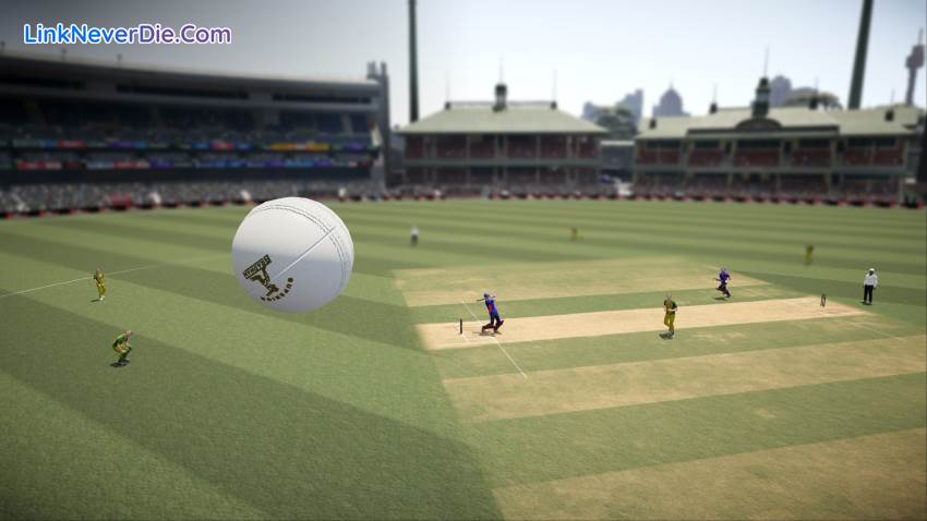 Hình ảnh trong game Don Bradman Cricket 17 (screenshot)