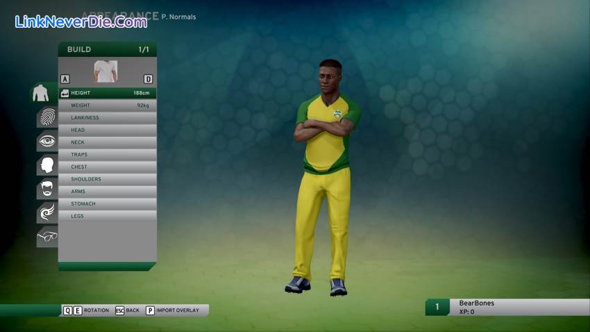 Hình ảnh trong game Don Bradman Cricket 17 (screenshot)