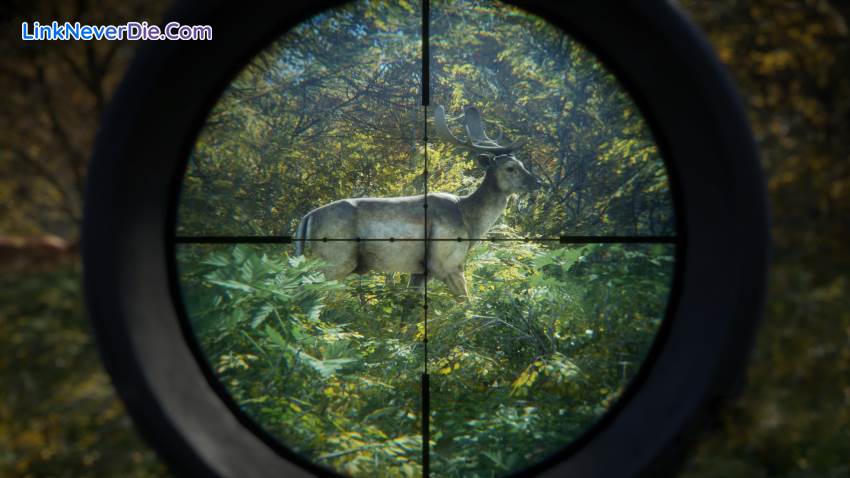 Hình ảnh trong game theHunter: Call of the Wild (screenshot)