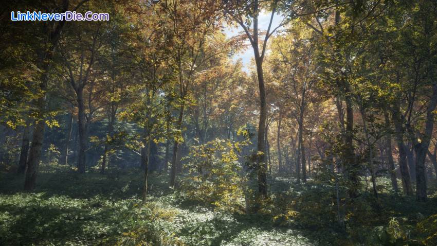 Hình ảnh trong game theHunter: Call of the Wild (screenshot)