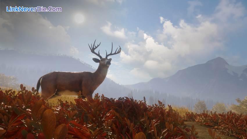 Hình ảnh trong game theHunter: Call of the Wild (screenshot)