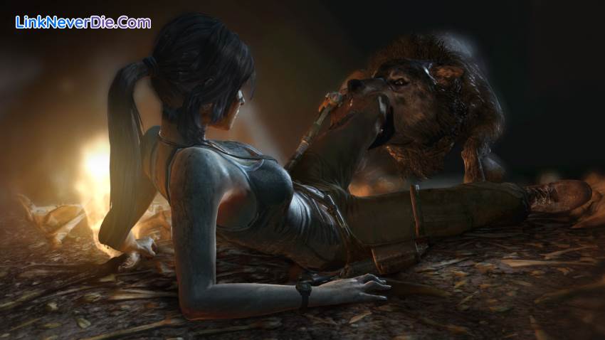 Hình ảnh trong game Tomb Raider Game of the Year Edition (screenshot)