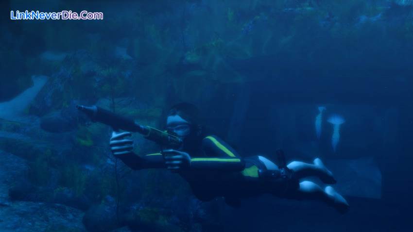 Hình ảnh trong game Tomb Raider: Underworld (screenshot)