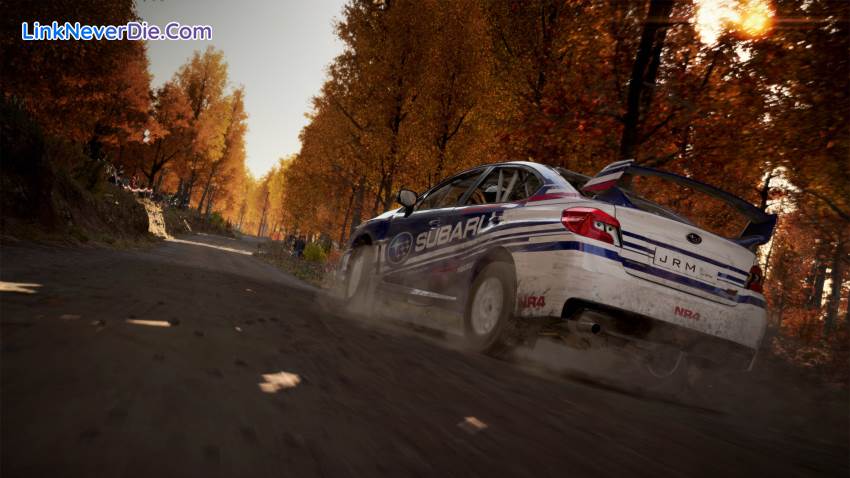 Hình ảnh trong game DiRT 4 (screenshot)