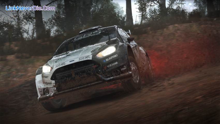 Hình ảnh trong game DiRT 4 (screenshot)