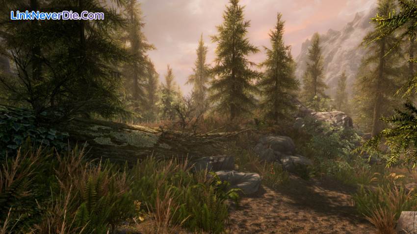 Hình ảnh trong game The Elder Scrolls V Skyrim Legendary Edition (screenshot)