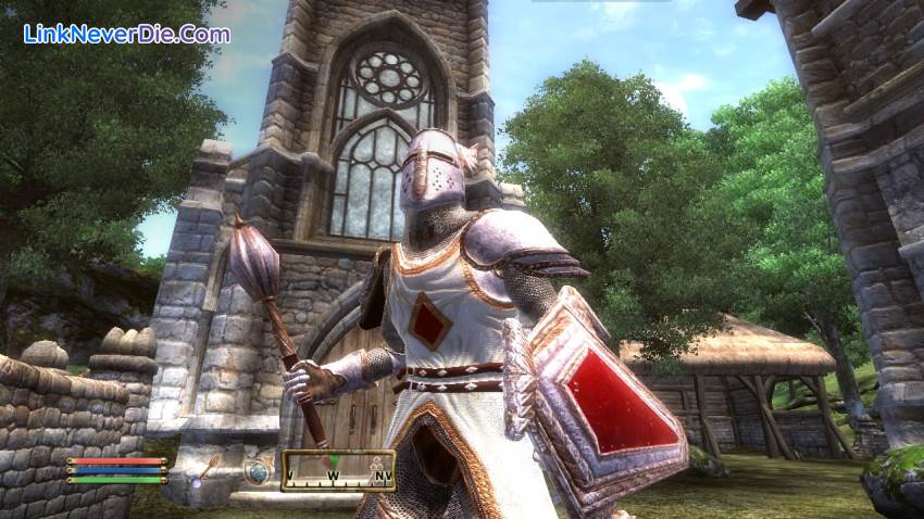 Hình ảnh trong game The Elder Scrolls IV: Oblivion (screenshot)