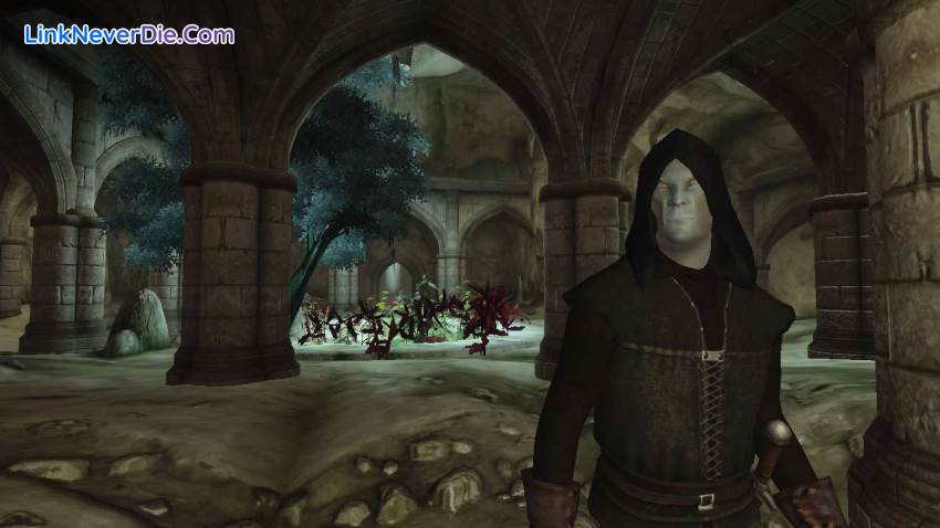 Hình ảnh trong game The Elder Scrolls IV: Oblivion (screenshot)