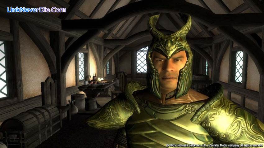 Hình ảnh trong game The Elder Scrolls IV: Oblivion (screenshot)