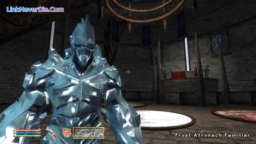 Hình ảnh trong game The Elder Scrolls IV: Oblivion (screenshot)