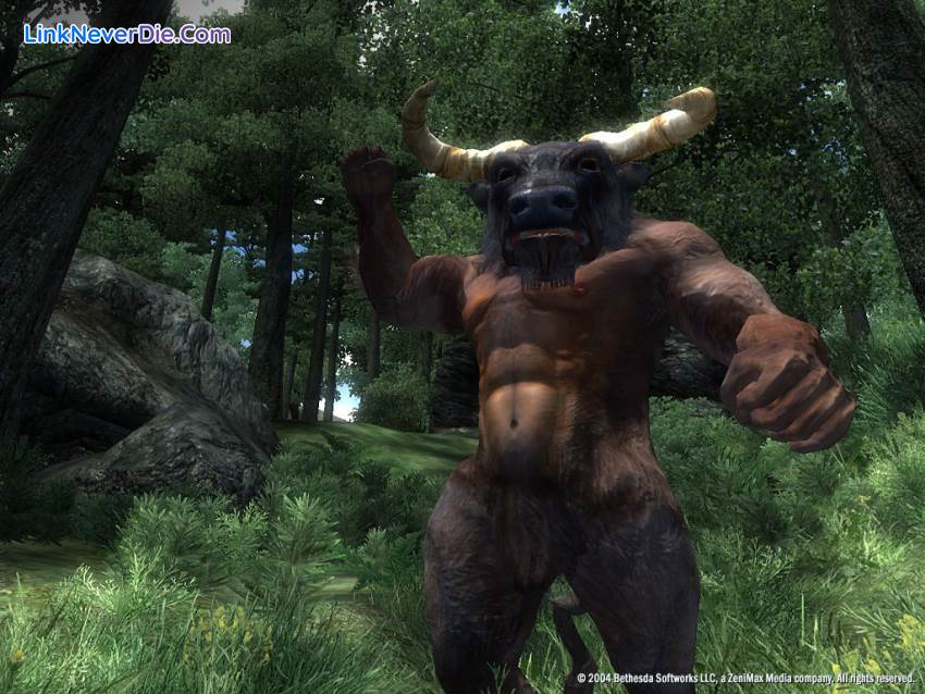 Hình ảnh trong game The Elder Scrolls IV: Oblivion (screenshot)