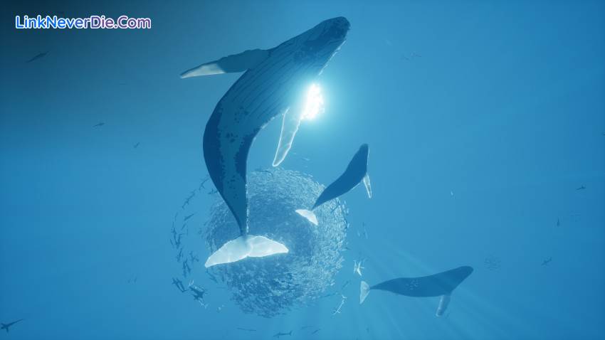 Hình ảnh trong game ABZU (screenshot)