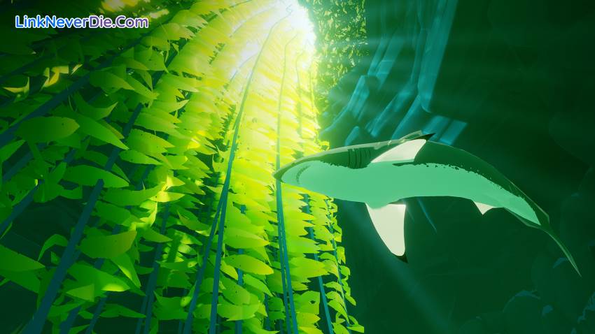 Hình ảnh trong game ABZU (screenshot)