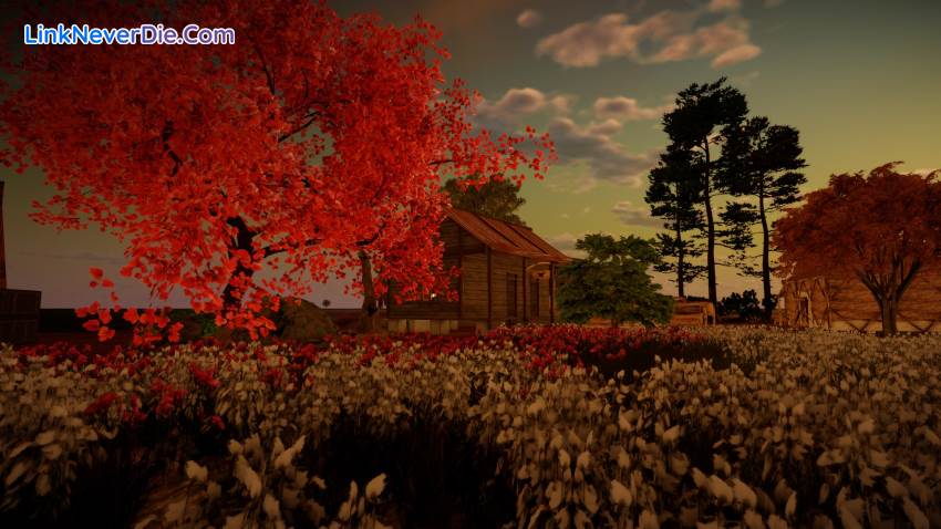 Hình ảnh trong game Animallica (screenshot)