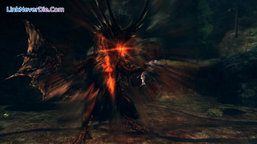 Hình ảnh trong game Dark Souls: Prepare to Die Edition (screenshot)