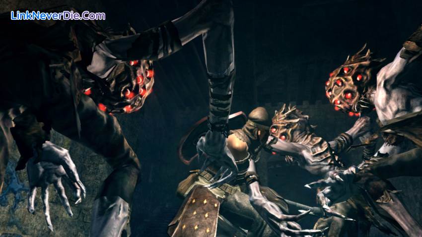 Hình ảnh trong game Dark Souls: Prepare to Die Edition (screenshot)