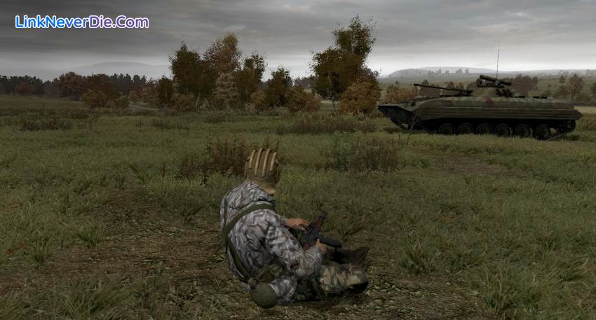 Hình ảnh trong game ArmA 2 Anniversary Edition (screenshot)