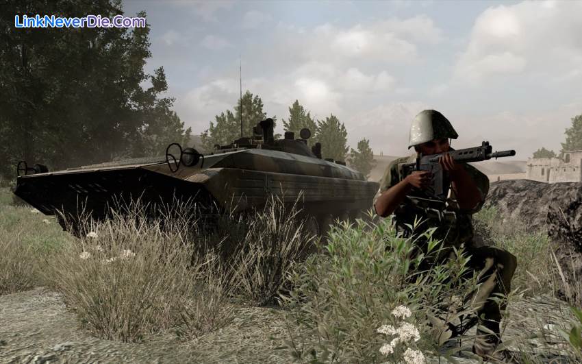 Hình ảnh trong game ArmA 2: Reinforcements (screenshot)