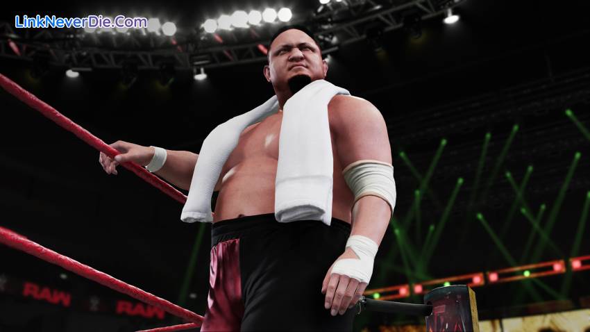 Hình ảnh trong game WWE 2K18 (screenshot)