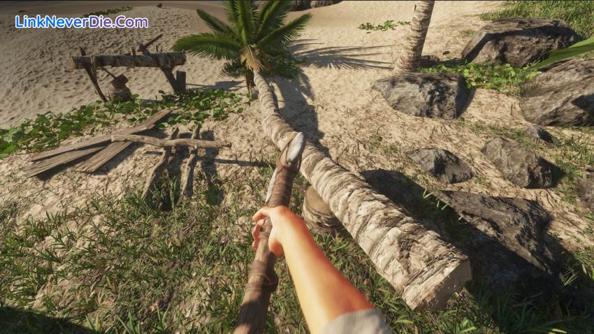 Hình ảnh trong game Stranded Deep (screenshot)