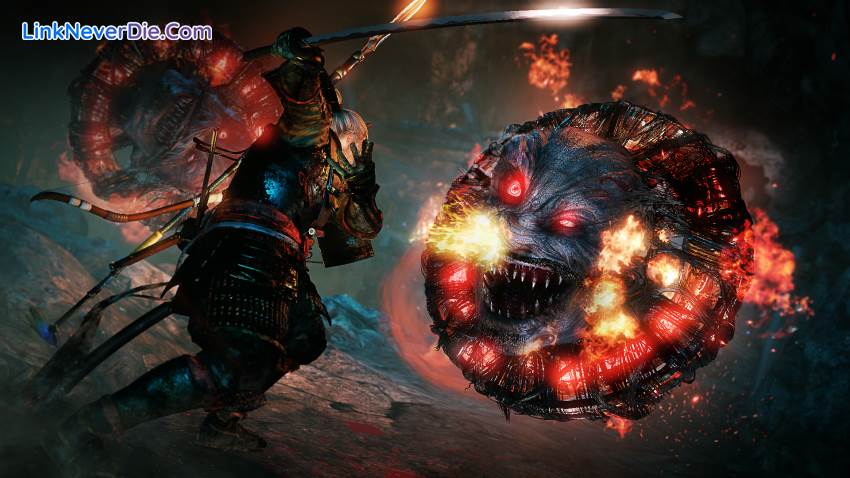 Hình ảnh trong game Nioh: Complete Edition (screenshot)