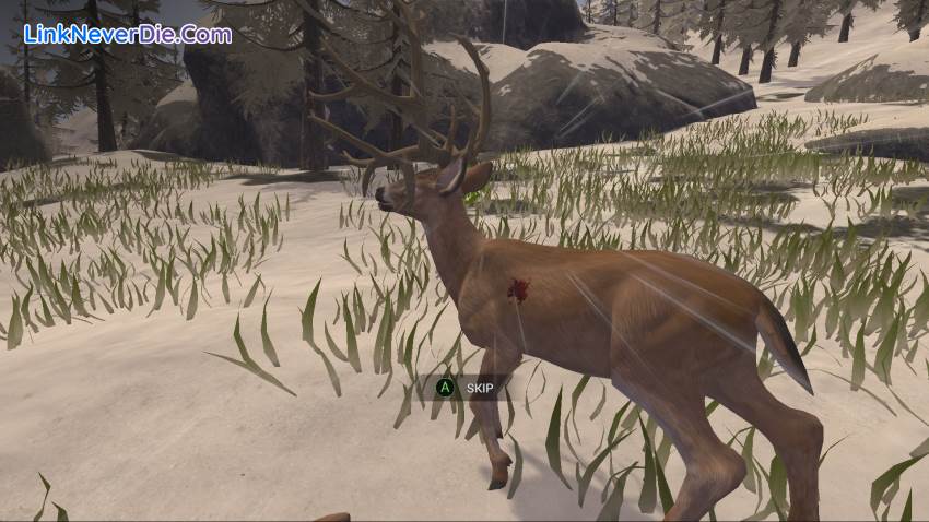 Hình ảnh trong game Deer Hunter: Reloaded (screenshot)