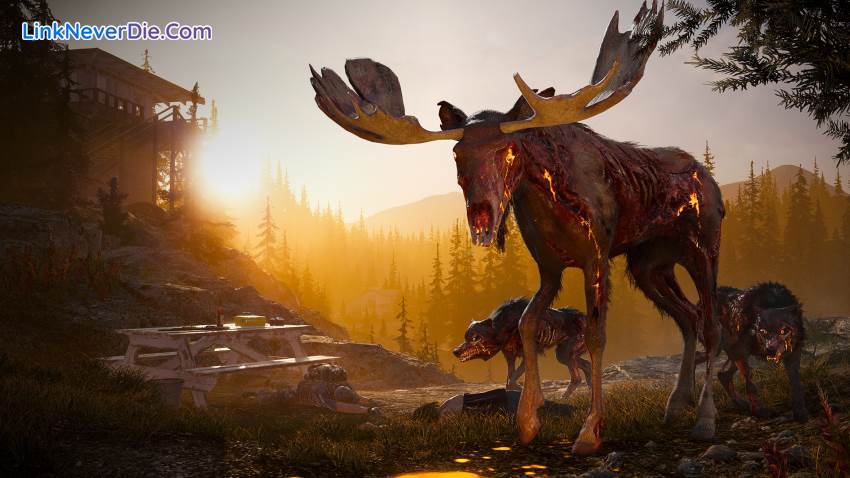 Hình ảnh trong game Far Cry 5 (screenshot)