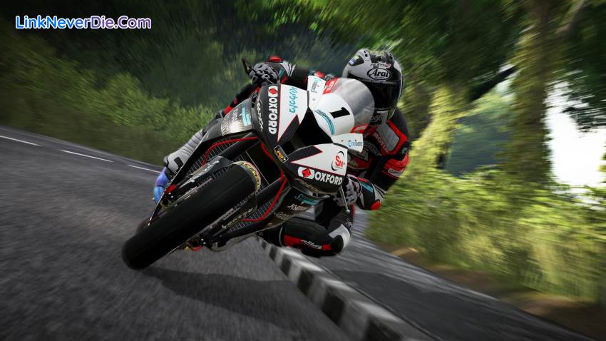 Hình ảnh trong game TT Isle of Man (screenshot)