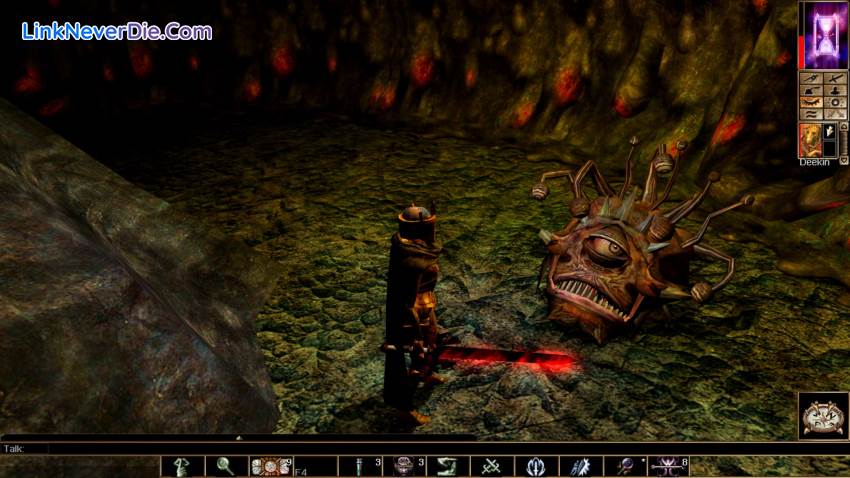 Hình ảnh trong game Neverwinter Nights: Enhanced Edition (screenshot)