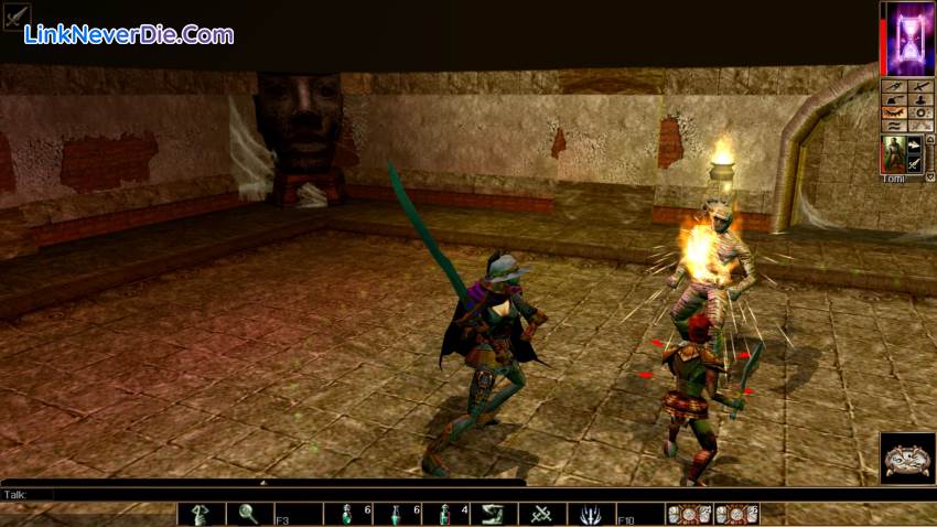 Hình ảnh trong game Neverwinter Nights: Enhanced Edition (screenshot)