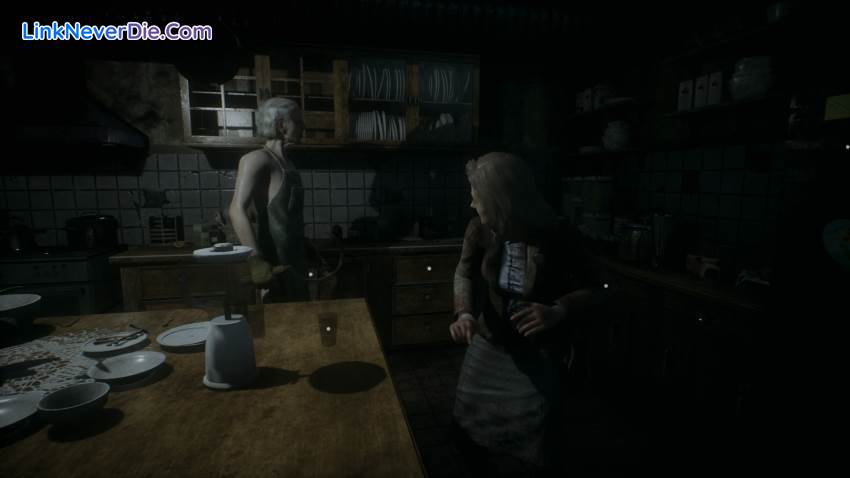 Hình ảnh trong game Remothered: Tormented Fathers (screenshot)