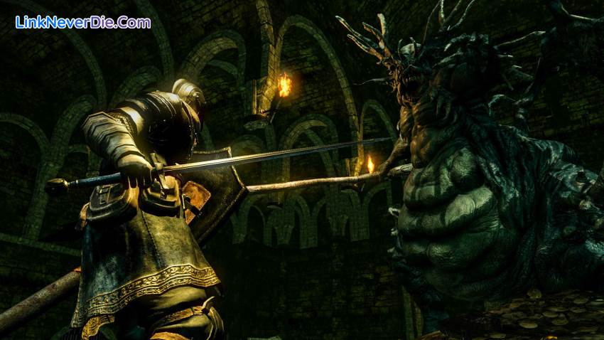 Hình ảnh trong game DARK SOULS: REMASTERED (screenshot)