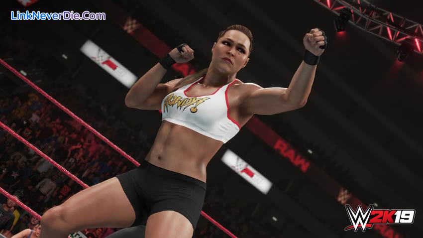 Hình ảnh trong game WWE 2k19 (screenshot)