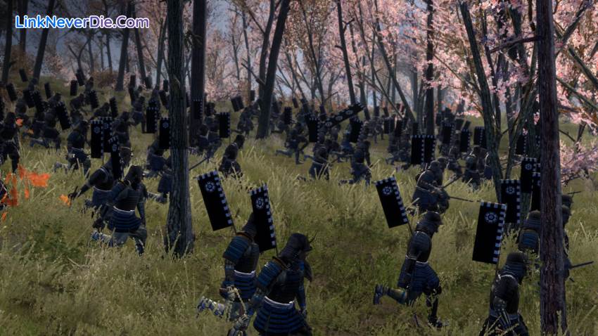 Hình ảnh trong game Total War: Shogun 2 (screenshot)