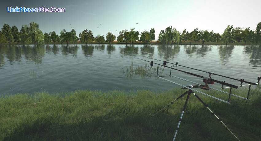 Hình ảnh trong game Ultimate Fishing Simulator (screenshot)