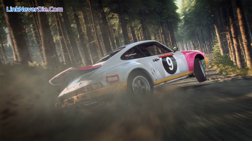 Hình ảnh trong game DiRT Rally 2.0 (screenshot)