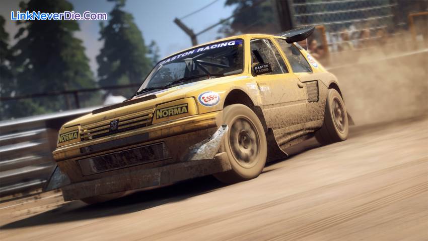 Hình ảnh trong game DiRT Rally 2.0 (screenshot)