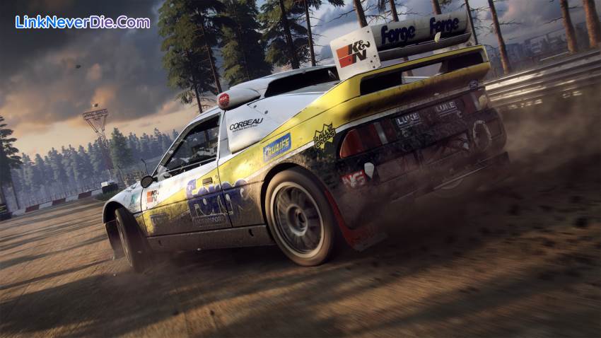 Hình ảnh trong game DiRT Rally 2.0 (screenshot)