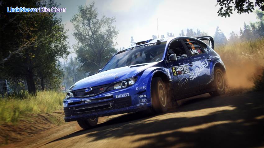 Hình ảnh trong game DiRT Rally 2.0 (screenshot)