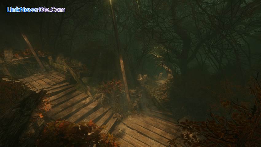 Hình ảnh trong game The Cursed Forest (screenshot)