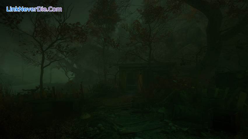 Hình ảnh trong game The Cursed Forest (screenshot)