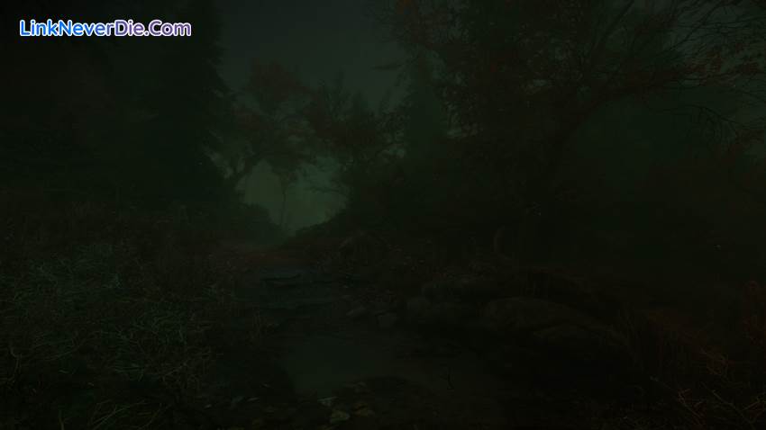 Hình ảnh trong game The Cursed Forest (screenshot)