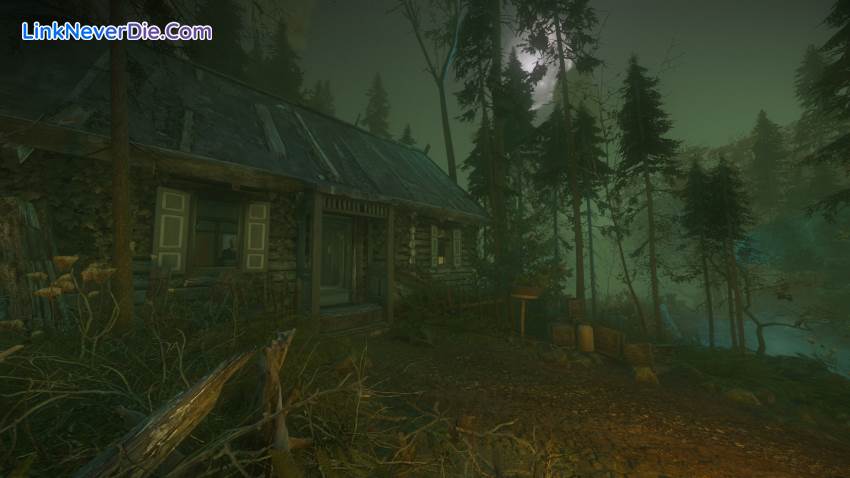 Hình ảnh trong game The Cursed Forest (screenshot)