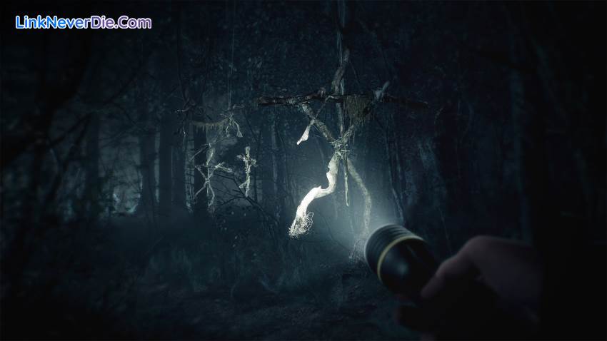 Hình ảnh trong game Blair Witch (screenshot)