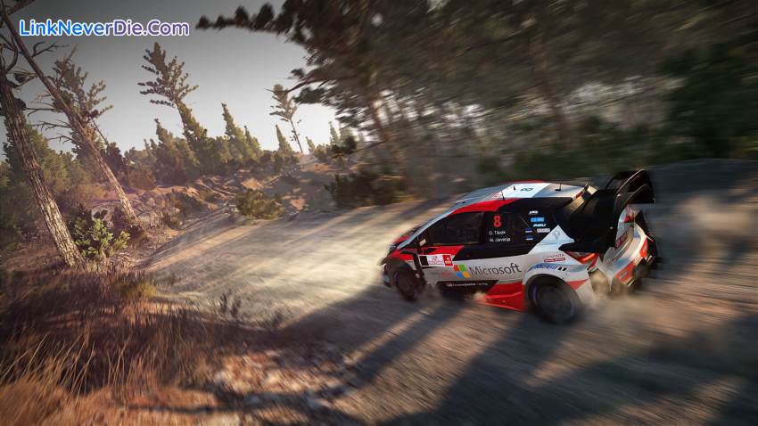 Hình ảnh trong game WRC 8 FIA World Rally Championship (screenshot)