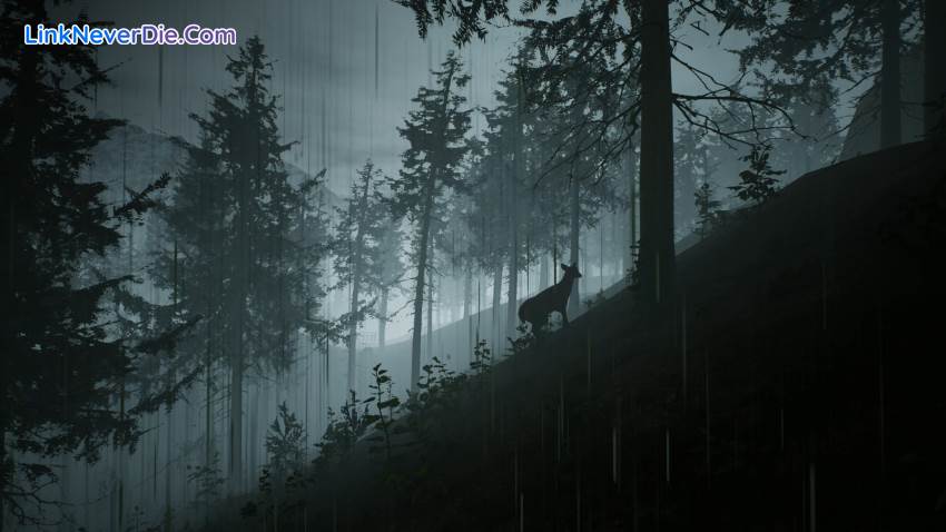 Hình ảnh trong game Morels: The Hunt (screenshot)