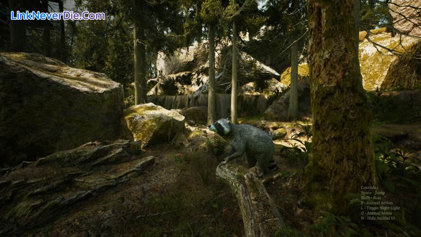 Hình ảnh trong game Morels: The Hunt (screenshot)