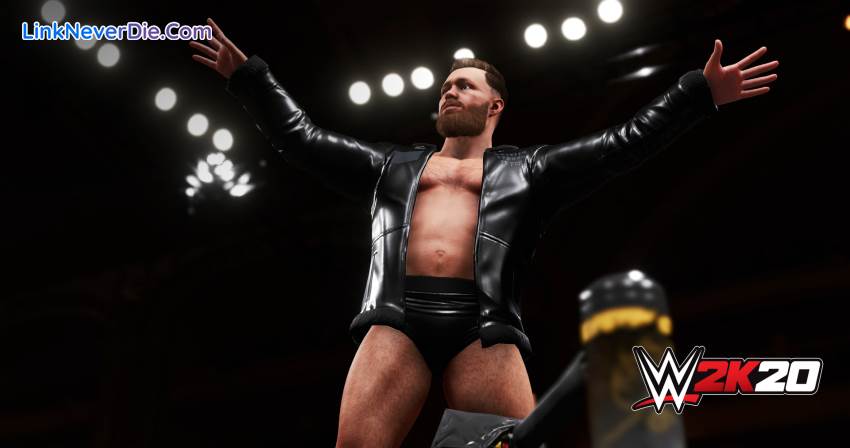 Hình ảnh trong game WWE 2K20 (screenshot)