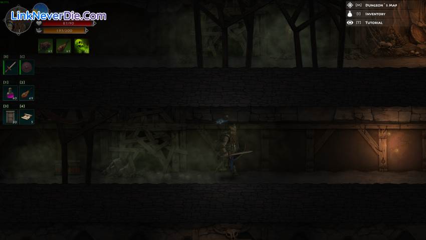 Hình ảnh trong game Niffelheim (screenshot)