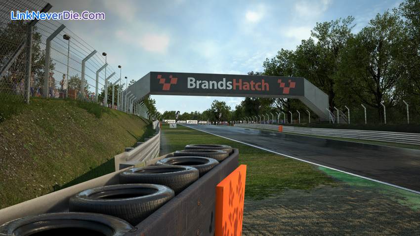 Hình ảnh trong game Assetto Corsa Competizione (screenshot)